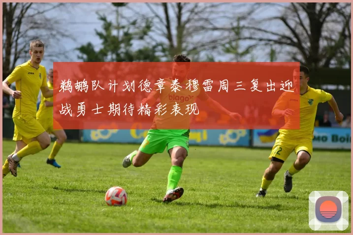鹈鹕队计划德章泰穆雷周三复出迎战勇士期待精彩表现