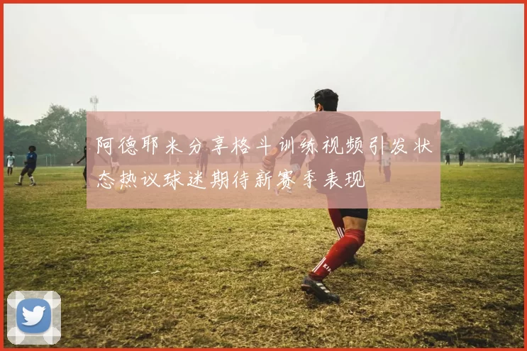 阿德耶米分享格斗训练视频引发状态热议球迷期待新赛季表现